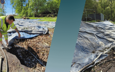 Termisk bekämpning av parkslide